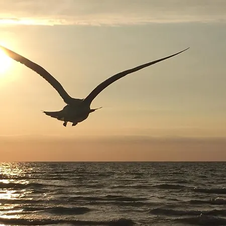 Strandkoje * Dierhagen