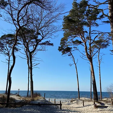 Strandkoje Apartmán