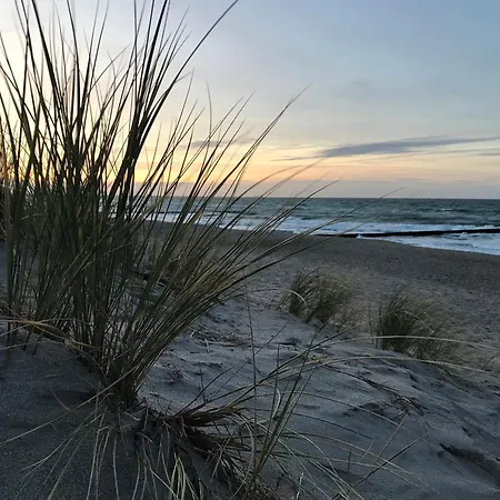 Strandkoje * Dierhagen