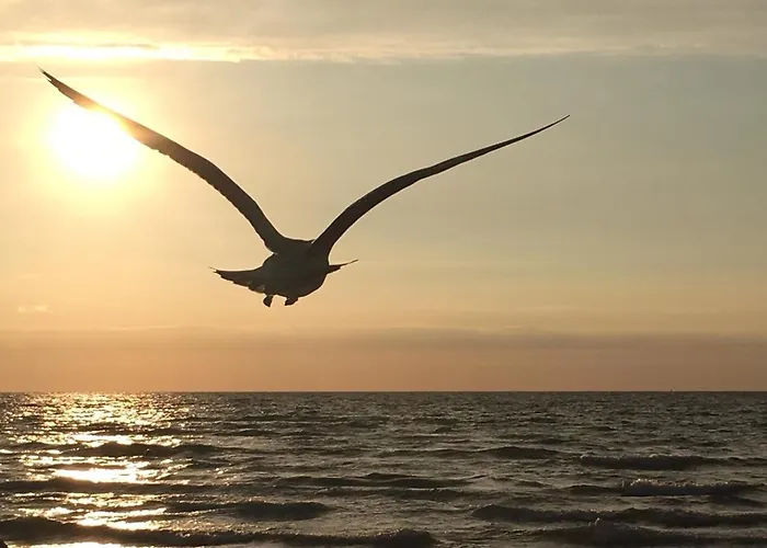 Strandkoje * Dierhagen