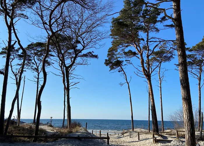 Strandkoje Lejlighed