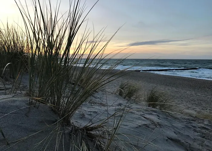 Strandkoje * Dierhagen